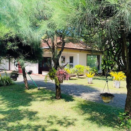 Hotel The Beez Negombo Esterno foto
