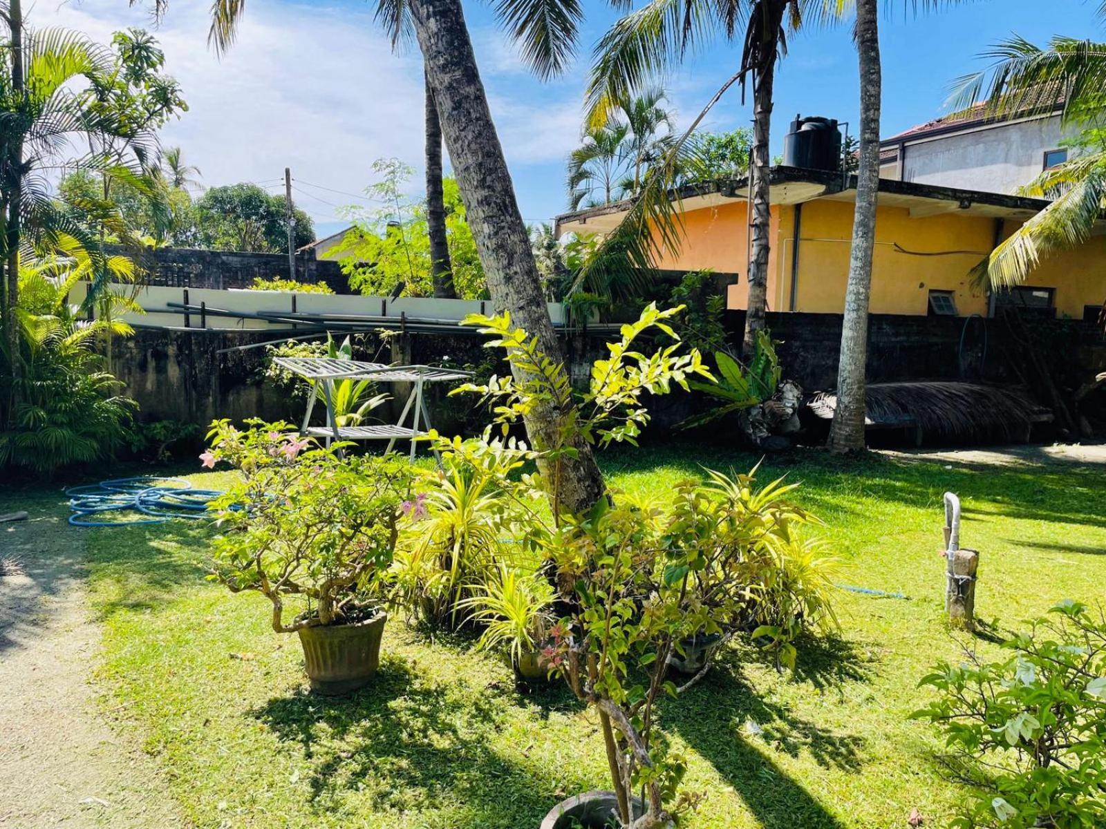 Hotel The Beez Negombo Esterno foto