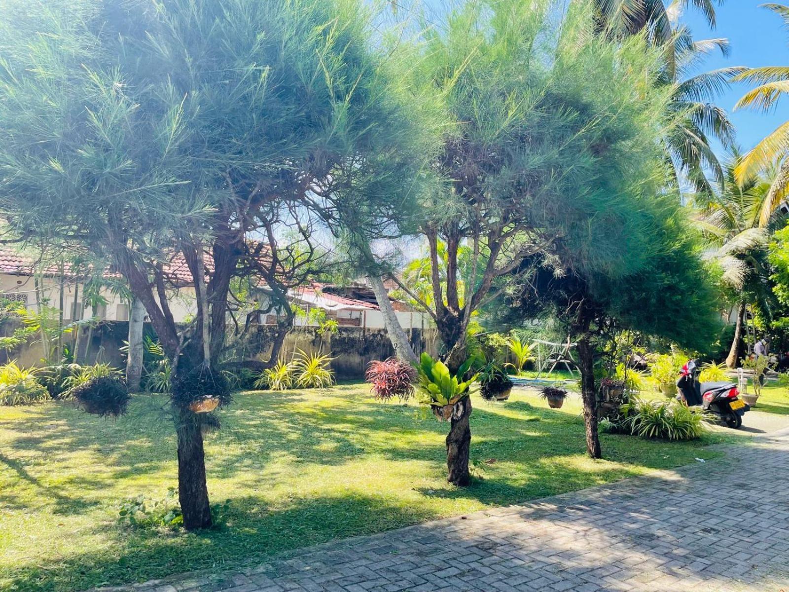 Hotel The Beez Negombo Esterno foto