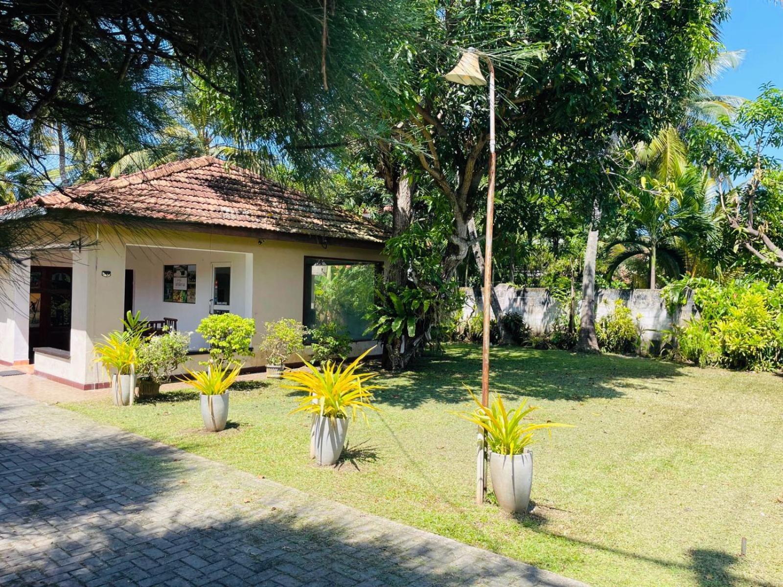 Hotel The Beez Negombo Esterno foto